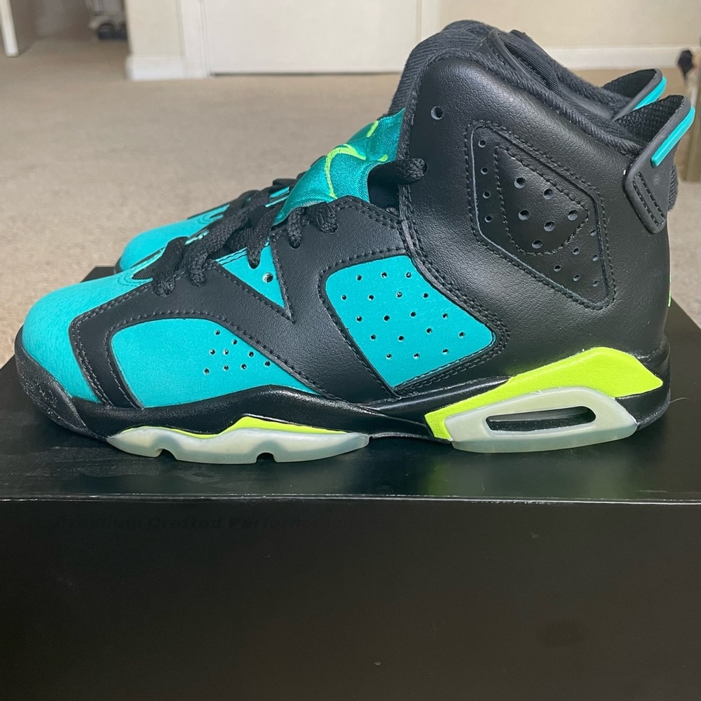 Air Jordan 6 Retro Turbo Green 4Y NWB